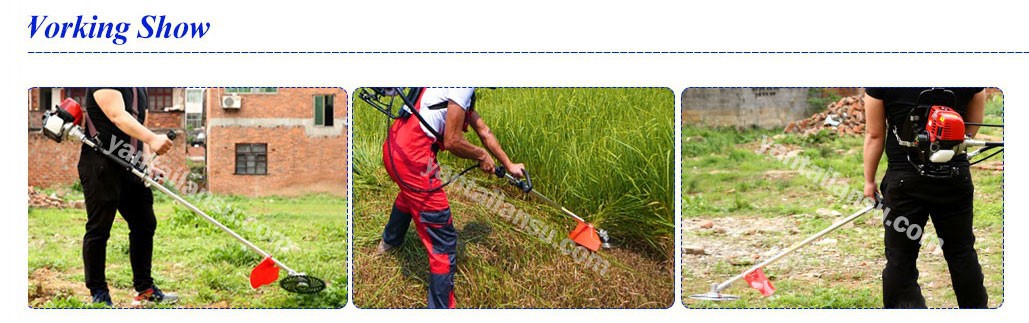 brush-cutter05 brush-cutter05